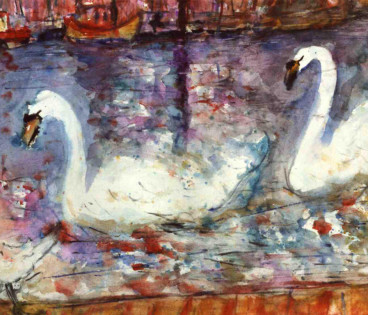 swan and seagulls